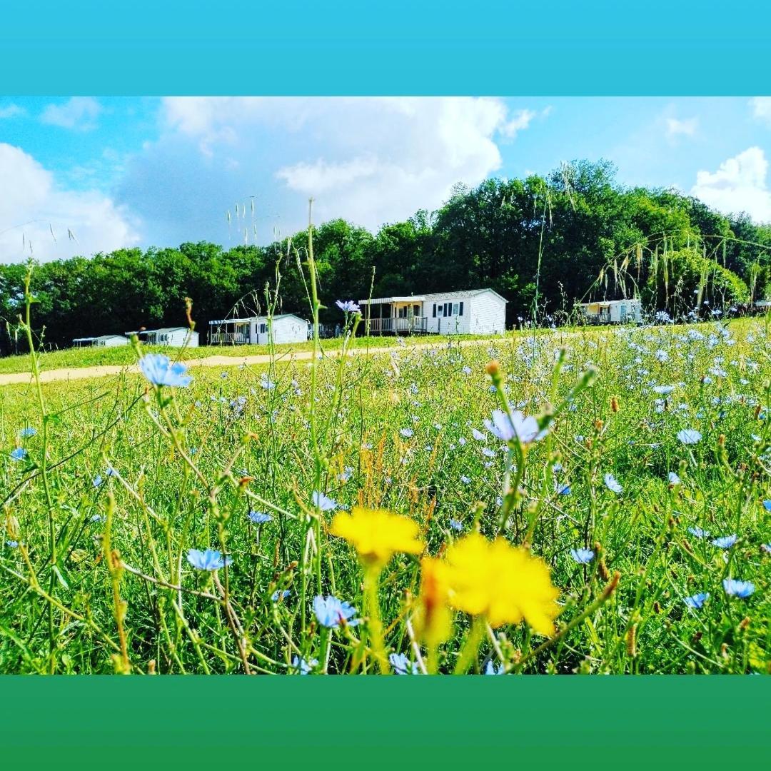 Camping Nature Le Valenty Mobil-Home-Dordogne Panoramique Clim Piscine Soturac Kültér fotó