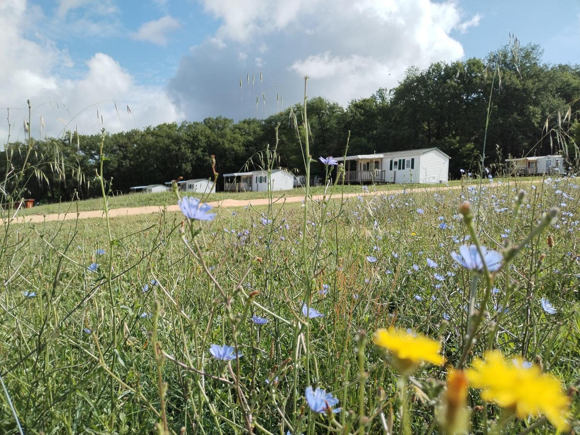 Camping Nature Le Valenty Mobil-Home-Dordogne Panoramique Clim Piscine Soturac Kültér fotó