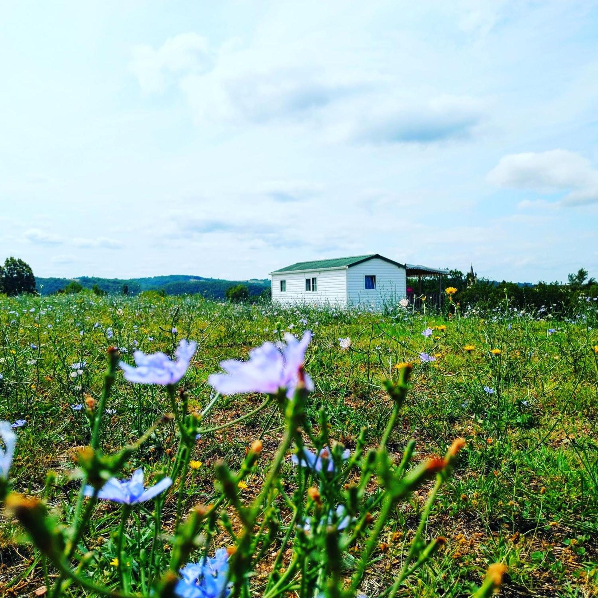 Camping Nature Le Valenty Mobil-Home-Dordogne Panoramique Clim Piscine Soturac Kültér fotó